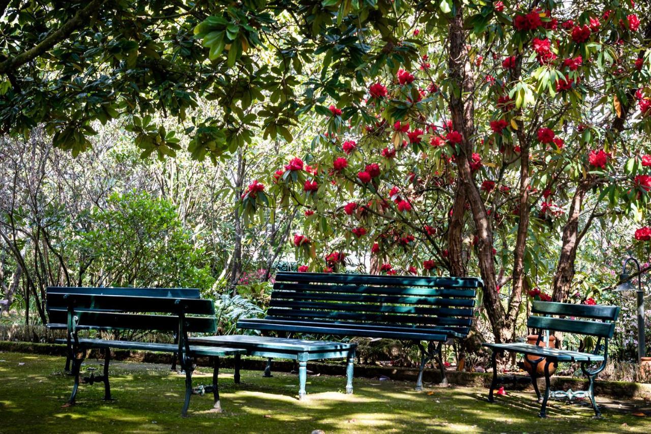 Quinta De Mouraes Casa Dos Rododendros Pensionat Lever Exteriör bild