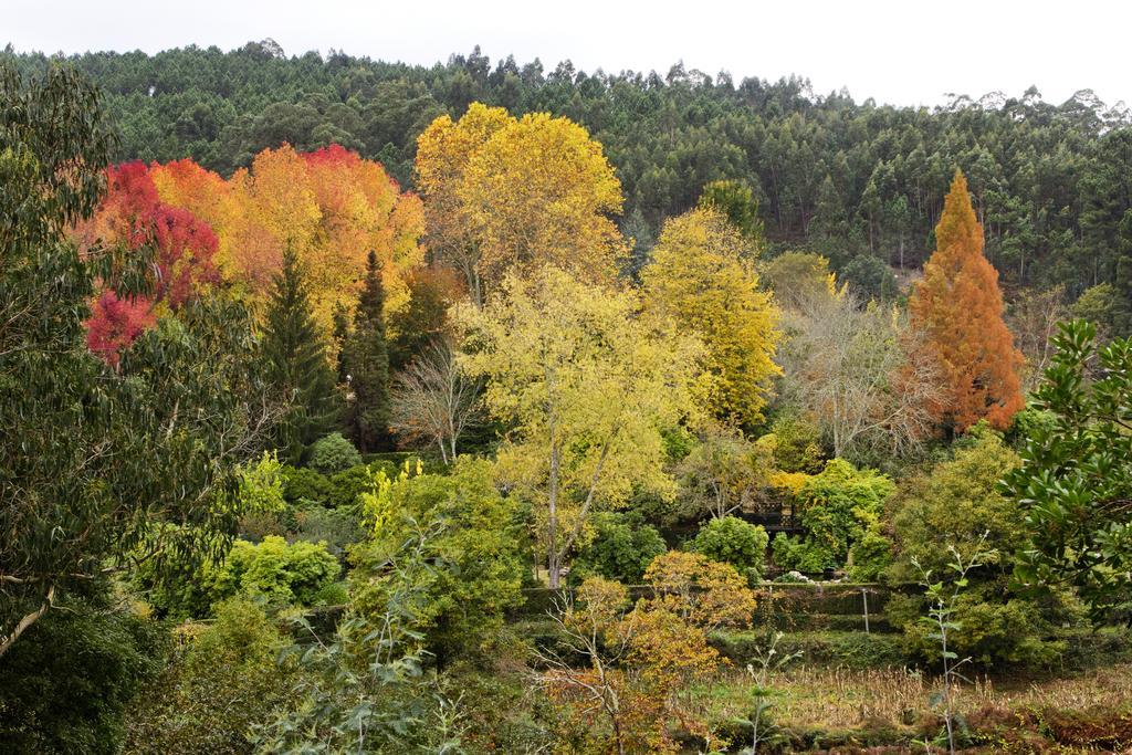 Quinta De Mouraes Casa Dos Rododendros Pensionat Lever Exteriör bild