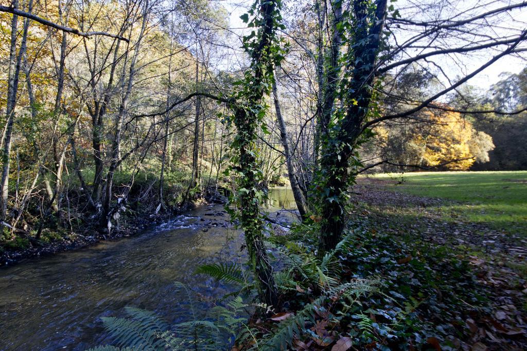 Quinta De Mouraes Casa Dos Rododendros Pensionat Lever Exteriör bild