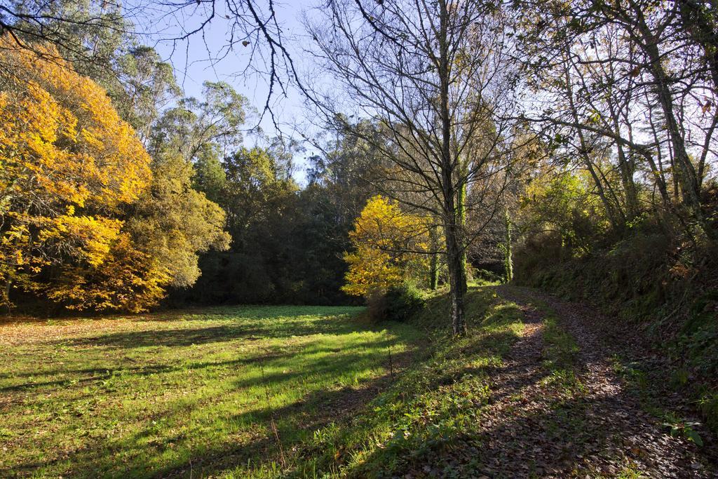 Quinta De Mouraes Casa Dos Rododendros Pensionat Lever Exteriör bild