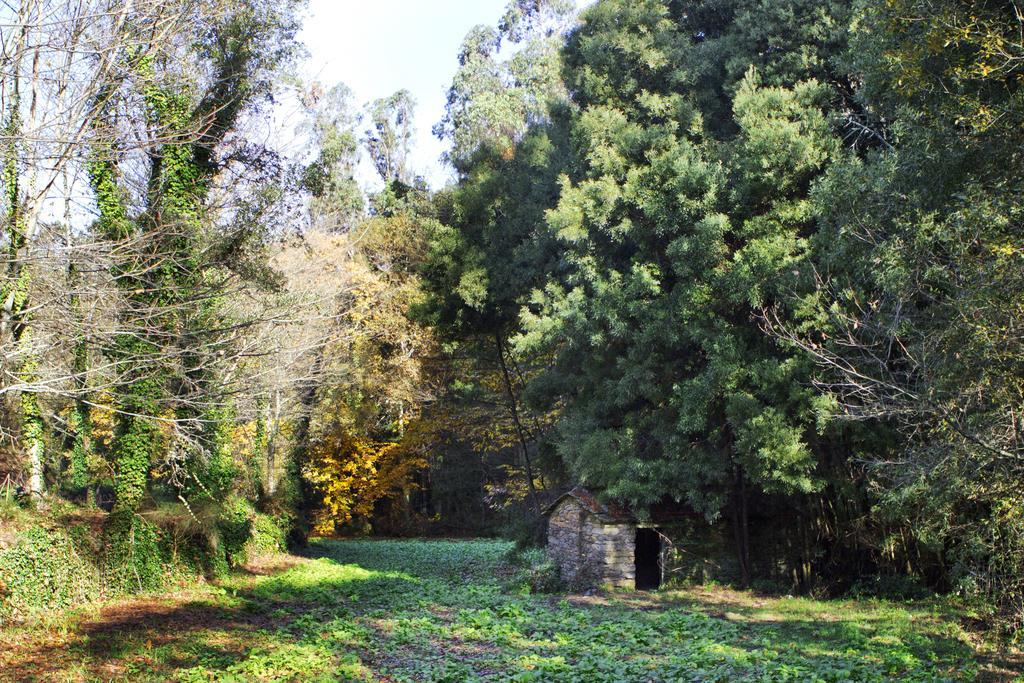 Quinta De Mouraes Casa Dos Rododendros Pensionat Lever Exteriör bild