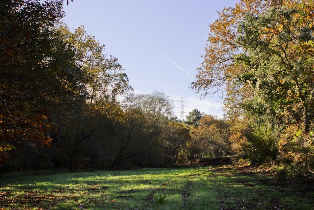 Quinta De Mouraes Casa Dos Rododendros Pensionat Lever Exteriör bild