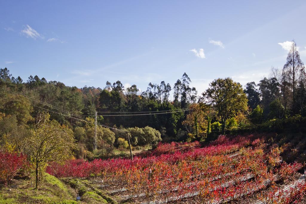 Quinta De Mouraes Casa Dos Rododendros Pensionat Lever Exteriör bild