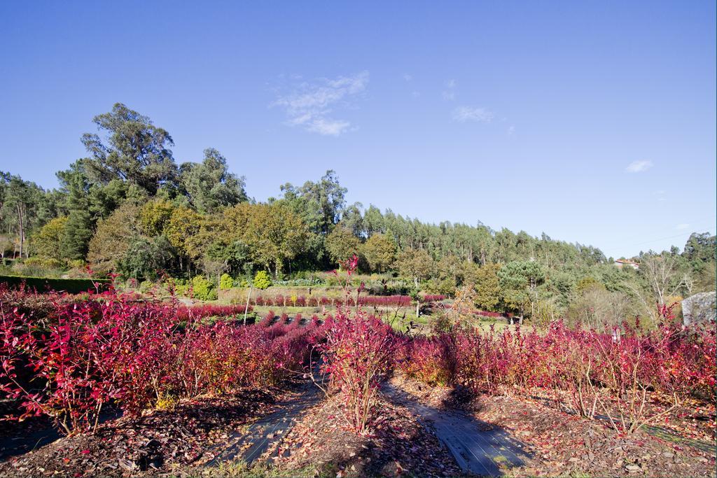 Quinta De Mouraes Casa Dos Rododendros Pensionat Lever Exteriör bild