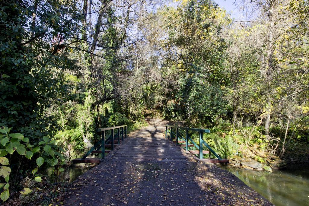Quinta De Mouraes Casa Dos Rododendros Pensionat Lever Exteriör bild